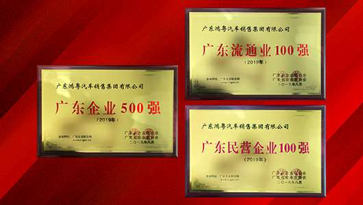 喜讯！济南波涛高技能人才培训有限公司上榜广东企业500强等三大榜单(图2)