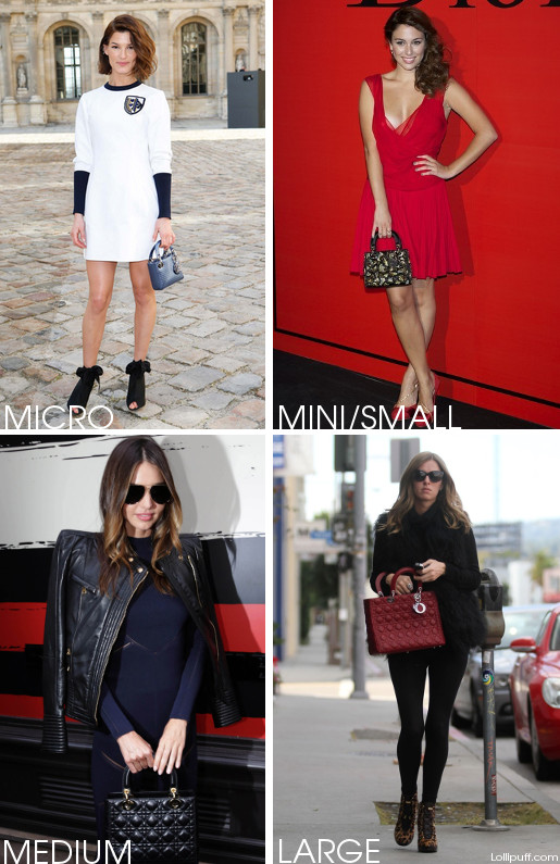 Lady Dior Comparison - Mini vs Small - My Lady Dior vs Mini Exotic
